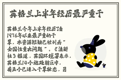 差差差差不多三十分钟轮滑电视剧
